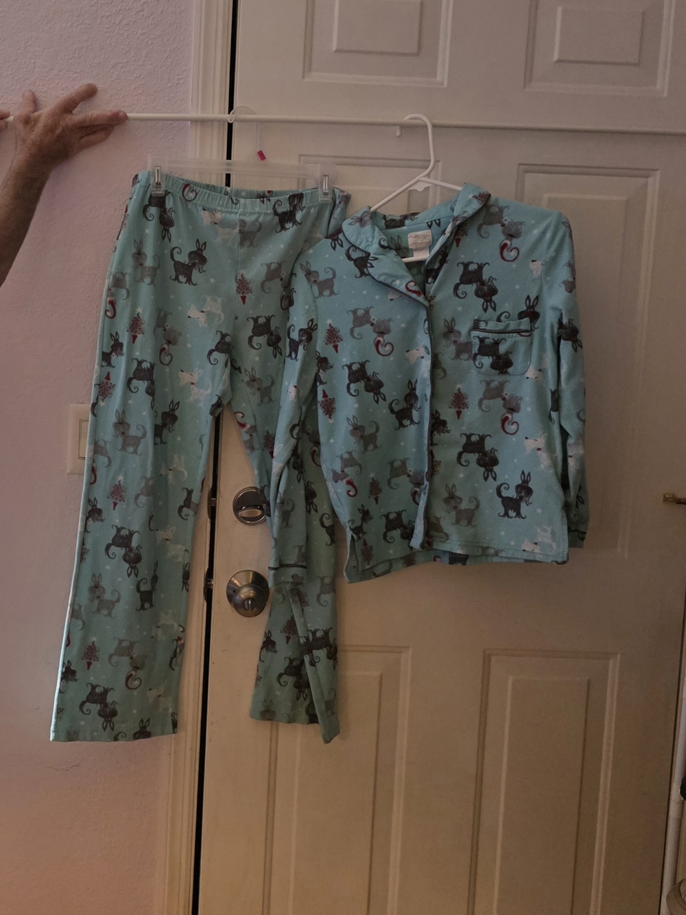 Sensation Small Womens Light Blue Reindeer Print Pajama Set